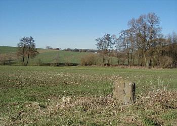 Kreuzstein im "Weingarten"